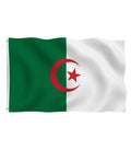 Algeria Flag Large 3'x5'