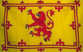 Scotland Flag - Rampant Lion Large 3'x5'