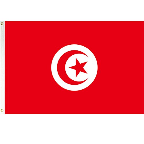 Tunisia Flag Large 3'x5' 