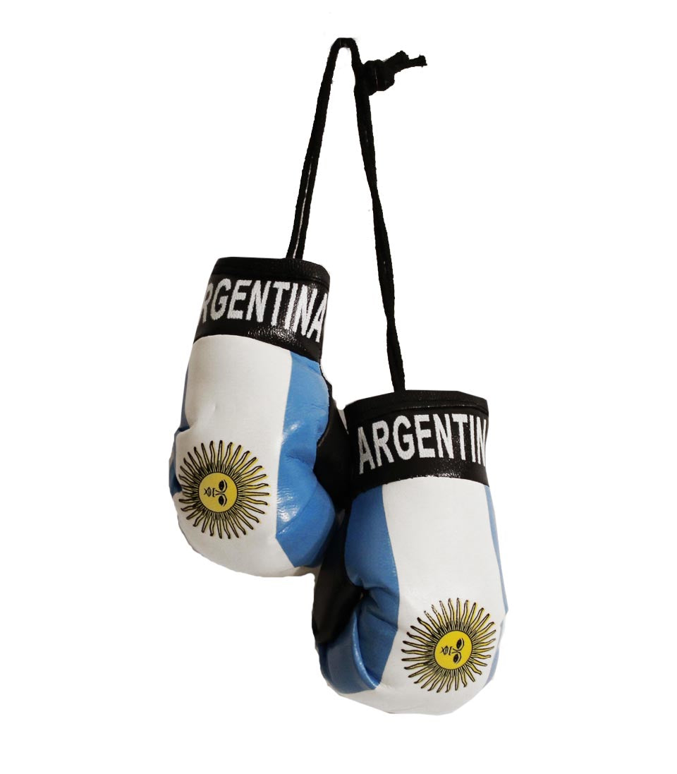 Argentina Boxing Gloves