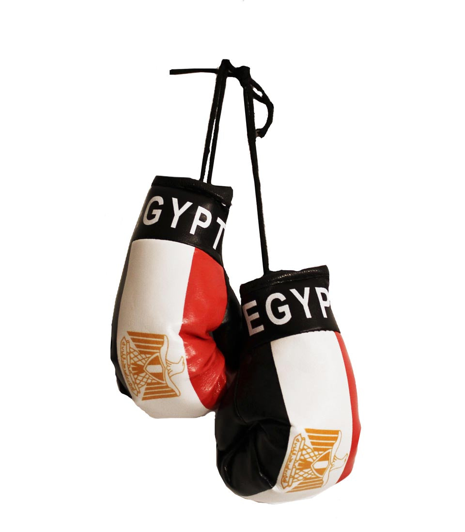 Egypt Boxing Gloves
