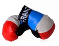 France Boxing Gloves