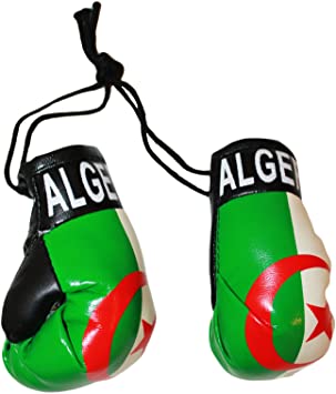 Algeria Boxing Gloves