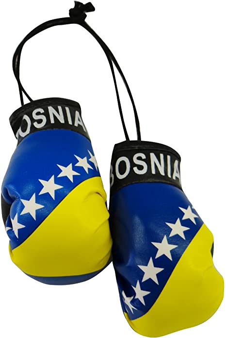 Bosnia Boxing Gloves