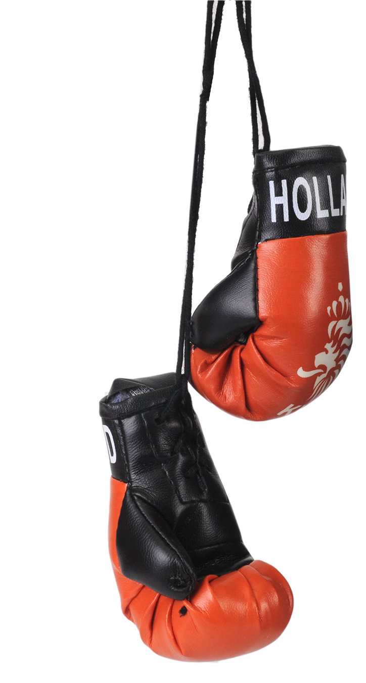 Holland Boxing Gloves - Orange