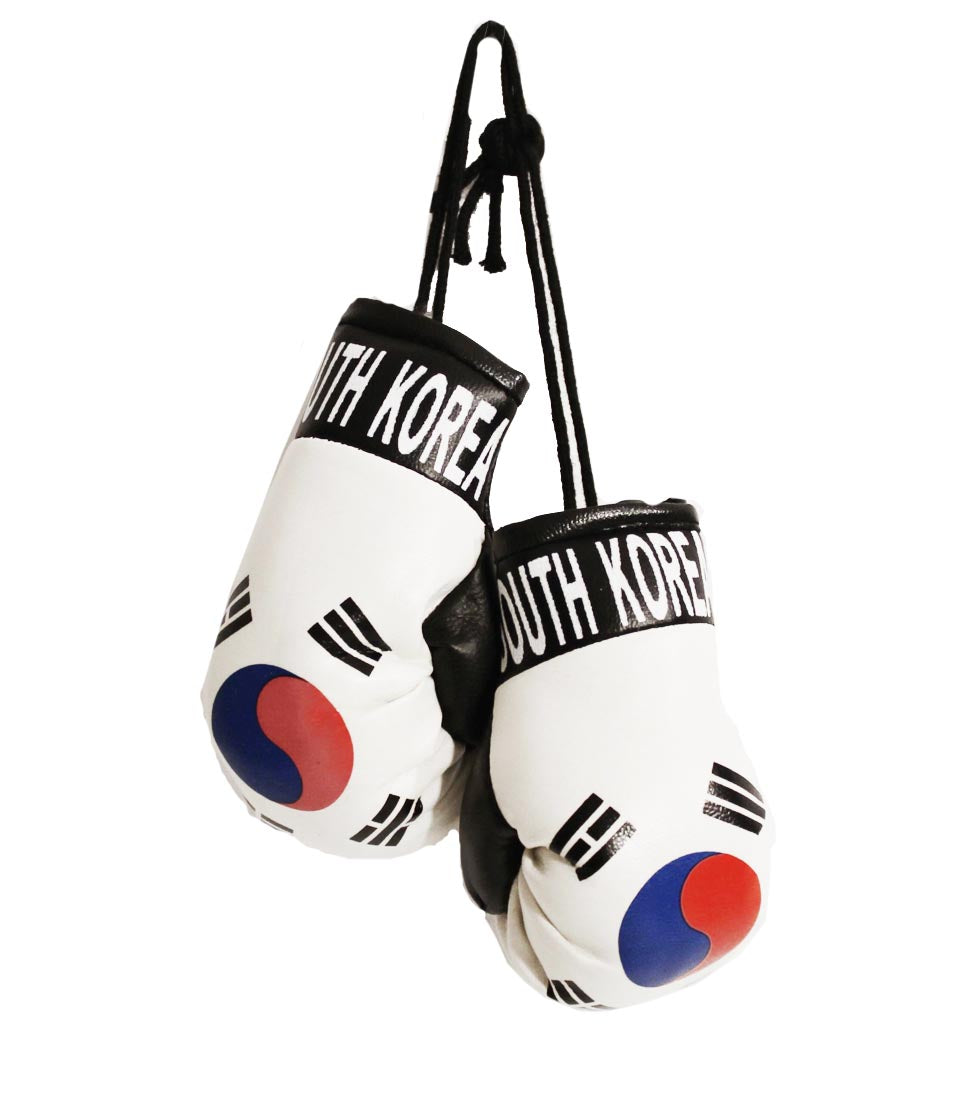 South Korea Boxing Gloves