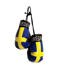 Sweden Boxing Gloves