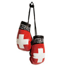 Switzerland Boxing Gloves