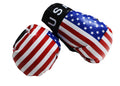 USA Boxing Gloves 